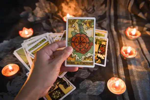 tarot cards Sonora